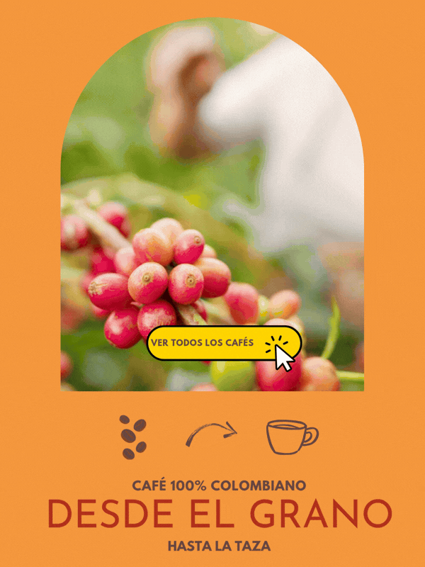 Proceso de recolección de café colombiano.