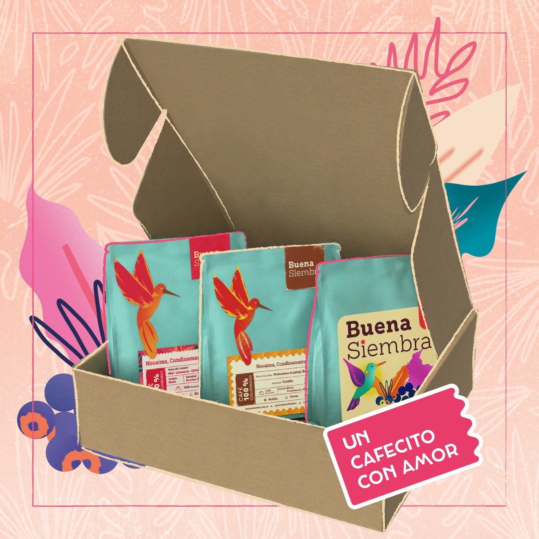 Kit de café para regalar con tres cafés colombianos Buena Siembra
